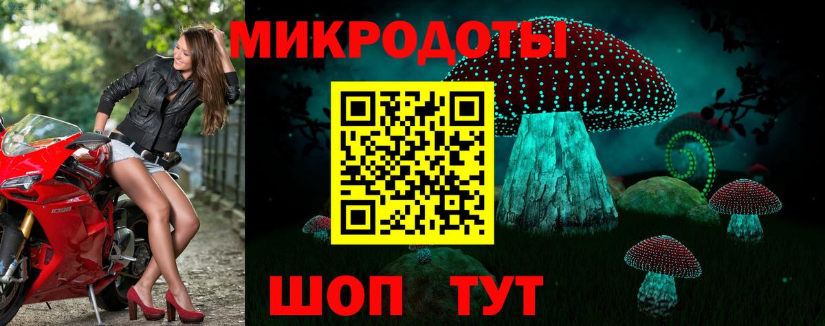 Борисоглебск  Псилоцибиновые грибы Psilocybe  Вход с VPN  Псилоцибиновые грибы Psilocybe 