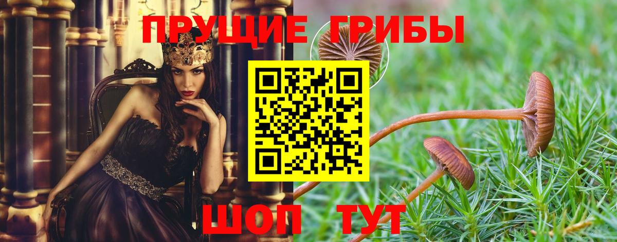 Галлюциногенные грибы Magic Shrooms Борисоглебск